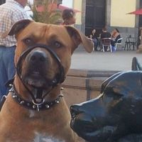 Amalin Blesa Moreno's Photo