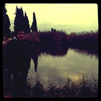 Le foto di Eran Rachmani