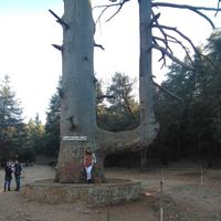 Nadia zouhit的照片