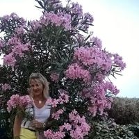 Alice NICOLE的照片