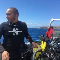 Goello Aster's Photo