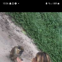 Sophie  Armitage的照片