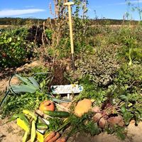 Mathias Wehking的照片