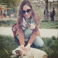 Фотографии пользователя Bilgesu NC