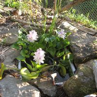 Myrielle Landes's Photo