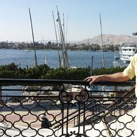 Adel Surour的照片