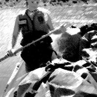 Kelly Mosinski的照片