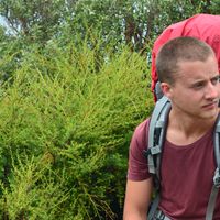 Gerrit Sauer的照片