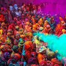 Mumbai- Udaipur-Pushkar Holi Trip 's picture