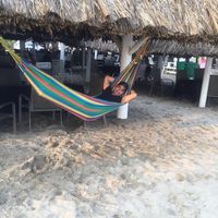 Jorge Flores's Photo