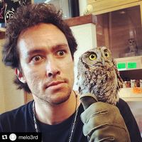 Fotos von Waddie CrazyHorse