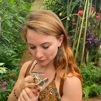 Jessica Smith的照片