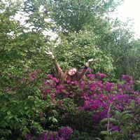 Paloma Mensajera的照片