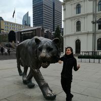 Miguel Arias的照片