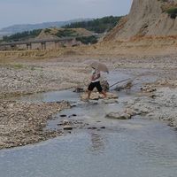 Domenico Furlò's Photo