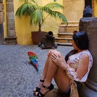 Josselin Freyle's Photo