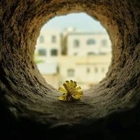 Mustafa Abdurakeeb's Photo