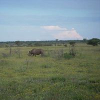 Guillaume Pineau's Photo