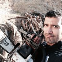 Amin Kamalzadeh的照片