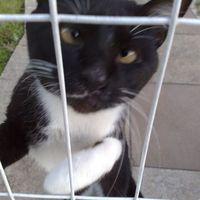 Carla Bregolin's Photo