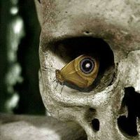 Olivia Sanguignol's Photo