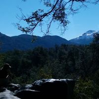 Fer Gonzalez's Photo