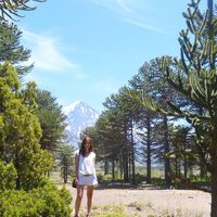 Fotos de Karen Oliva