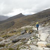 Maggie Zody的照片