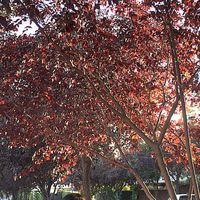 Karen Soriano的照片