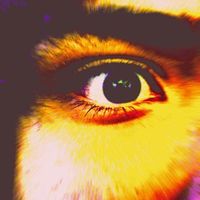 Adrian Avitia's Photo