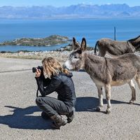 Christine Hergt's Photo