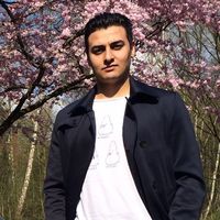 Sourena Afshar的照片