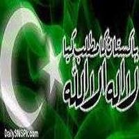 Muhammad Nauman Khan的照片