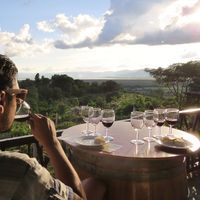 Tiago Lemos的照片