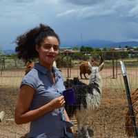 Laura Muzzarelli的照片