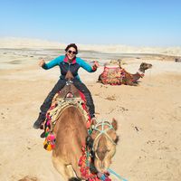 tahereh erfani的照片