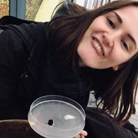 Anna Chevalier's Photo