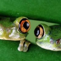 Marion Abbott的照片