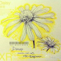 daisy ling's Photo