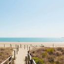 Tahuna beach picnic meet up's picture