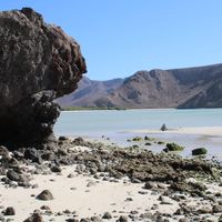 marian Caldini's Photo