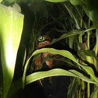 Le foto di Violeta Aguiló