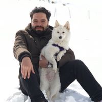 Ali Iranpour的照片