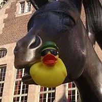 Jan H. Kobarg's Photo