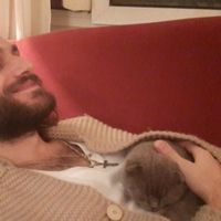 Emir Erkaya的照片