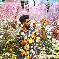 Aqeeb Munir的照片