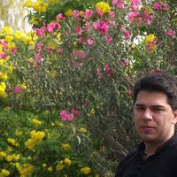 behzad jafari's Photo