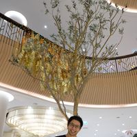 PongPong GoGo's Photo