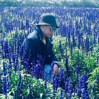 Photos de Berth Novicio