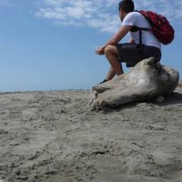 Koray Fidanoglu的照片